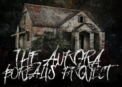 logo The Aurora Borealis Project